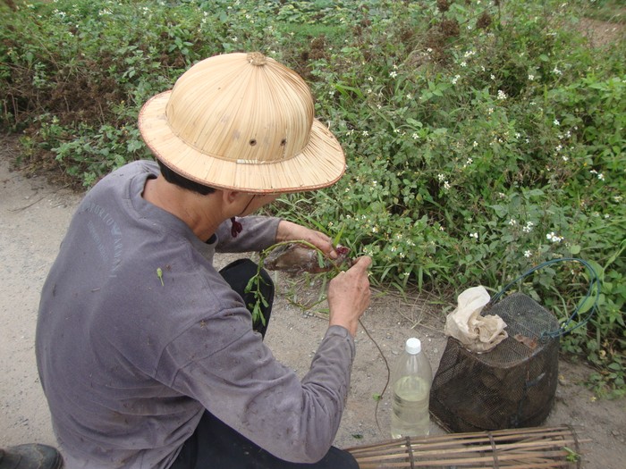 Phải là người có kinh nghiệm mới làm được việc bẻ răng chuột.